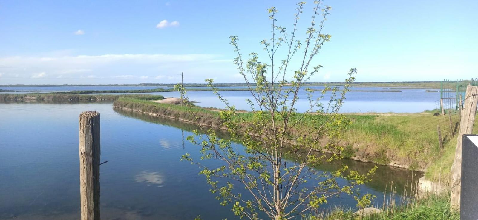 Casa Vacanze Nel Delta Del Po Taglio di Po 外观 照片