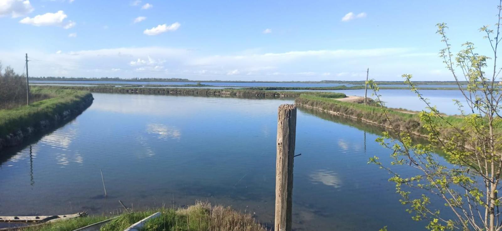 Casa Vacanze Nel Delta Del Po Taglio di Po 外观 照片