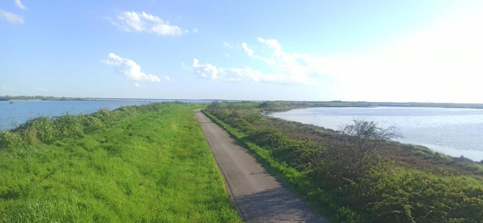 Casa Vacanze Nel Delta Del Po Taglio di Po 外观 照片
