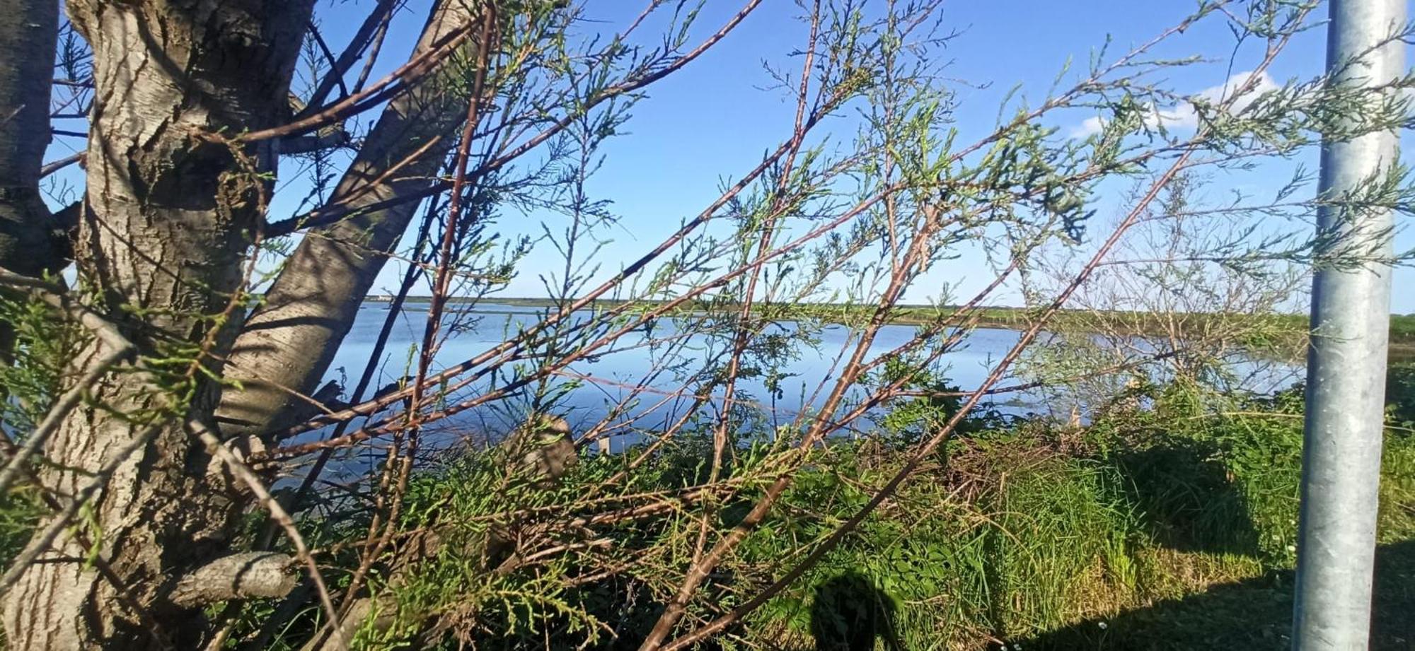 Casa Vacanze Nel Delta Del Po Taglio di Po 外观 照片