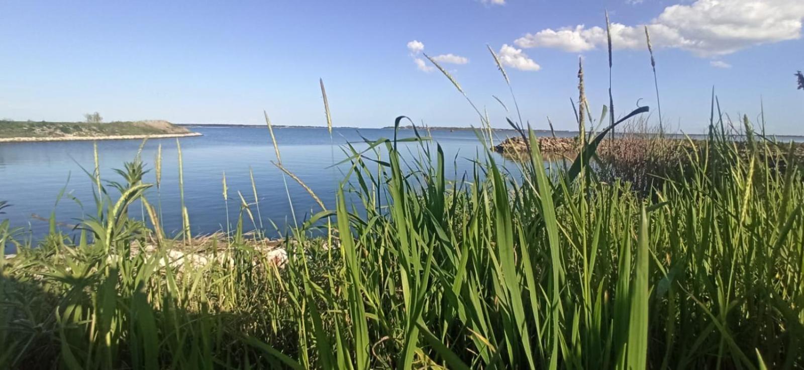 Casa Vacanze Nel Delta Del Po Taglio di Po 外观 照片
