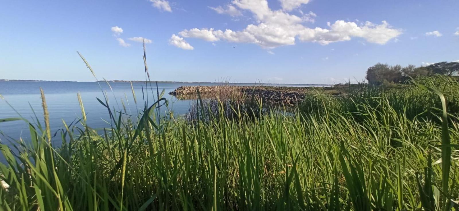 Casa Vacanze Nel Delta Del Po Taglio di Po 外观 照片