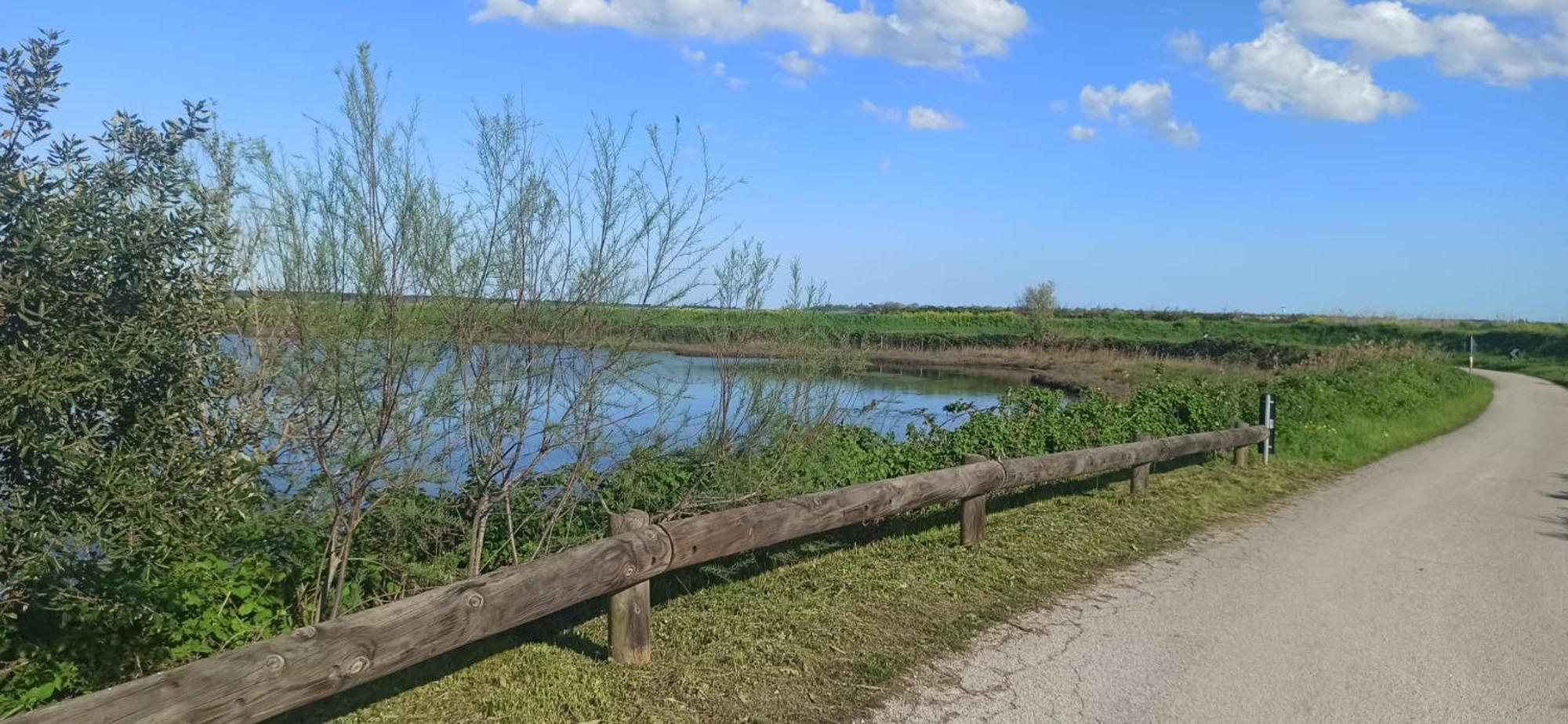 Casa Vacanze Nel Delta Del Po Taglio di Po 外观 照片