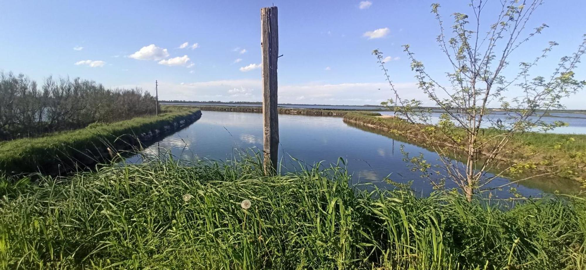 Casa Vacanze Nel Delta Del Po Taglio di Po 外观 照片