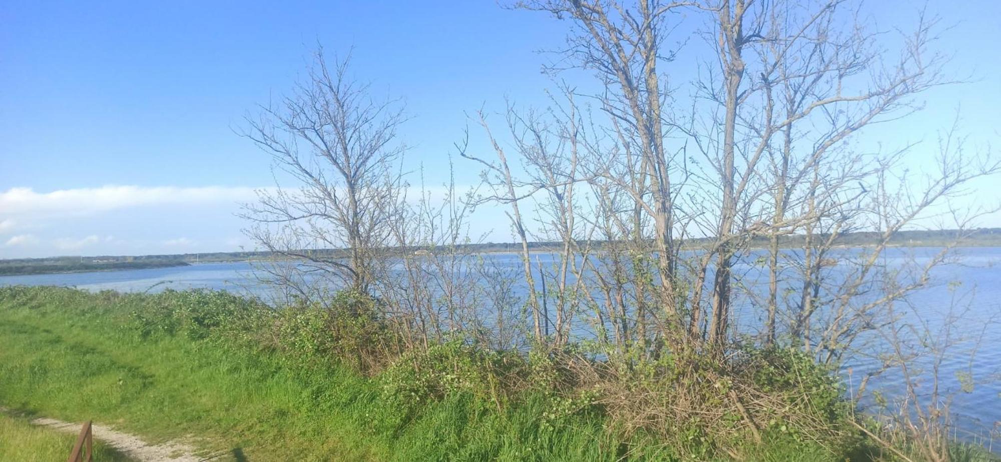 Casa Vacanze Nel Delta Del Po Taglio di Po 外观 照片
